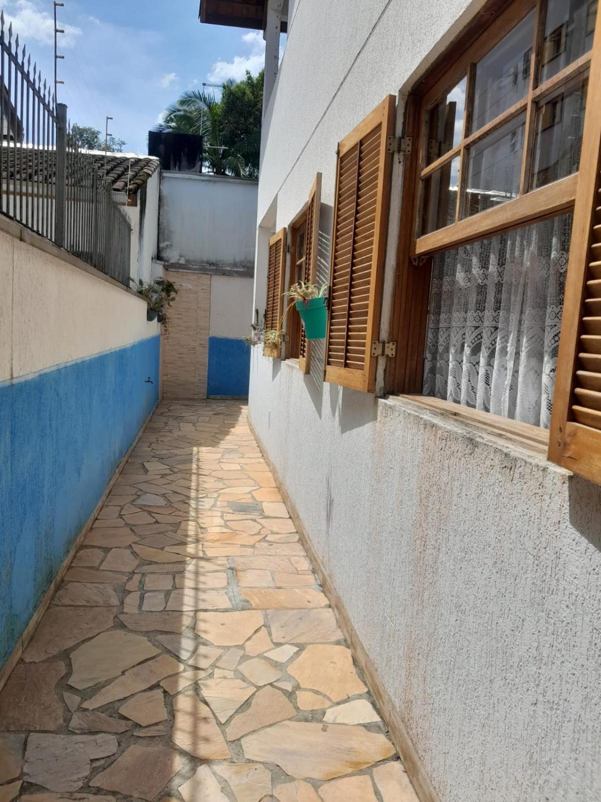 Manaca Da Serra *
